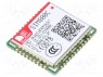 : GSM/Bluetooth; 85600/; 2G,3.0 EDR; 42pad SMT; SMD