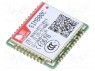 : GSM/Bluetooth; 85600/; 2G,3.0 EDR; 42pad SMT; SMD