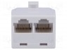 ; .: 8p8c;  RJ45 x2, RJ45