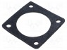 FLANGE GASKET CPC