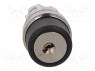 Switch: rotary with key; 1-position; 22mm; silver; Illumin: none