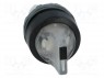 Switch: rotary; 2-position; 22mm; transparent; Illumin: MLB-1; IP66