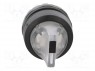 Switch: rotary; 2-position; 22mm; transparent; Illumin: MLB-1; IP66