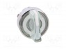 Switch: rotary; 2-position; 22mm; white; Illumin: LED; IP66; Ø22mm