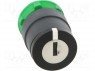 Switch: rotary with key; 2-position; 22mm; black; Illumin: none