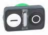 Switch: double; 1-position; 22mm; white/black; IP66; Ø22mm