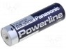 Battery: alkaline; 1.5V; AA; non-rechargeable