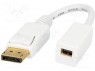 ;  DisplayPort, mini DisplayPort; : 