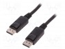 ; DisplayPort 1.1;  DisplayPort,  ; 1