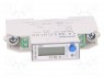 ; IP51; RS485 MODBUS RTU; DIN; I.: 100; -25÷55°C